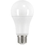 Traditional Shape LED Globes