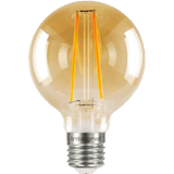 Decorative Bulbs