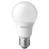 10 X E27/B22 9.6W Frosted Globe