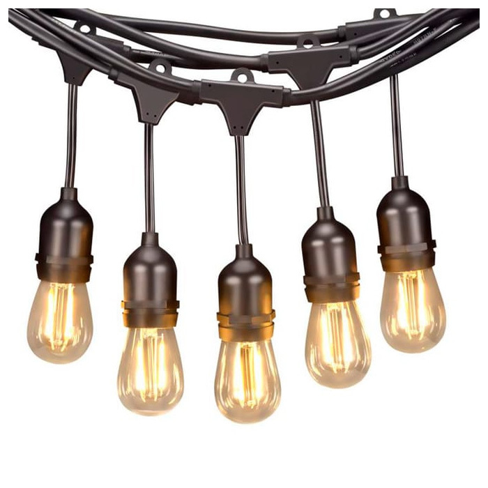 LED Festoon Lighting Image 1