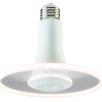 Radiance White Dimmable E27 1000 Lumens