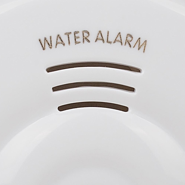 Water Alarm Image 2