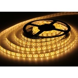 Colour 5 Metre IP65 Waterproof LED Strip 