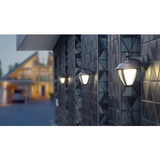 UNITE 9W LED Wall Lantern 