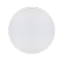 25W Slimline Ceiling/Wall Bulkhead