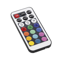 30W IP65 RGB Remote Changing Flootlight