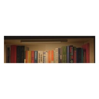 SENSORLUX CABINET WARDROBE LIGHT 261MM 100LM