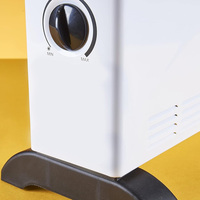 2KW Convector Heater