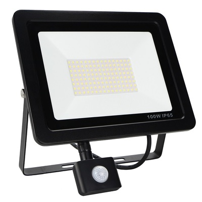 Luxlite Slimeline 100W Floodlights Luxlite Slimeline 100W Floodlights