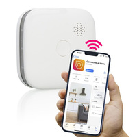 Smart Wi-Fi Smoke Alarm