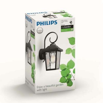 Philips BUZZARD Garden Wall Light