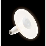 Radiance White Dimmable E27 806 Lumens 